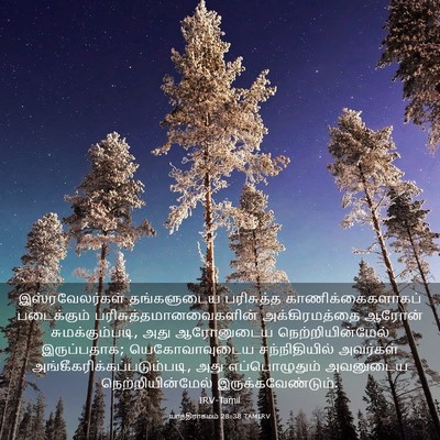 Picture 03 - யாத்திராகமம் 28:38 TAMIRV - இஸ்ரவேலர்கள் - Bible Verse Picture