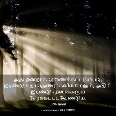 Picture 03 - யாத்திராகமம் 28:7 TAMIRV - அது ஒன்றாக - Bible Verse Picture