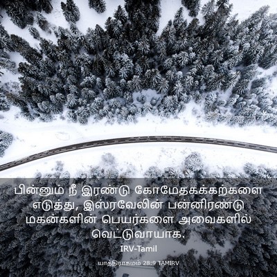 Picture 03 - யாத்திராகமம் 28:9 TAMIRV - பின்னும் நீ - Bible Verse Picture