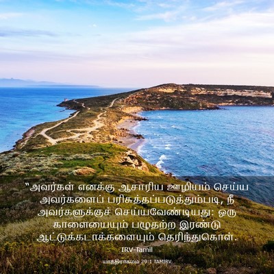 Picture 03 - யாத்திராகமம் 29:1 TAMIRV - “அவர்கள் எனக்கு - Bible Verse Picture