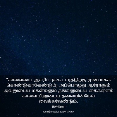 Picture 03 - யாத்திராகமம் 29:10 TAMIRV - “காளையை - Bible Verse Picture