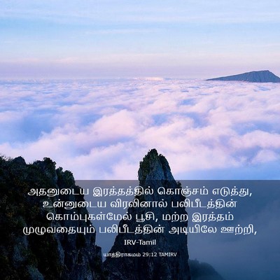 Picture 03 - யாத்திராகமம் 29:12 TAMIRV - அதனுடைய - Bible Verse Picture