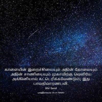 Picture 03 - யாத்திராகமம் 29:14 TAMIRV - காளையின் - Bible Verse Picture