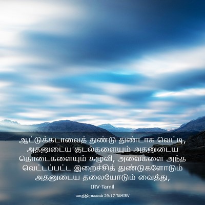 Picture 03 - யாத்திராகமம் 29:17 TAMIRV - ஆட்டுக்கடாவைத் - Bible Verse Picture