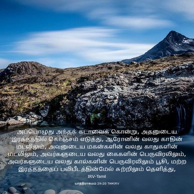 Picture 03 - யாத்திராகமம் 29:20 TAMIRV - அப்பொழுது அந்தக் - Bible Verse Picture