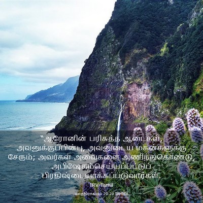 Picture 03 - யாத்திராகமம் 29:29 TAMIRV - “ஆரோனின் பரிசுத்த - Bible Verse Picture