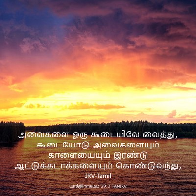 Picture 03 - யாத்திராகமம் 29:3 TAMIRV - அவைகளை ஒரு - Bible Verse Picture
