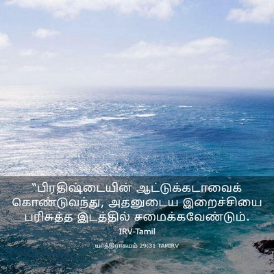 Picture 03 - யாத்திராகமம் 29:31 TAMIRV - “பிரதிஷ்டையின் - Bible Verse Picture