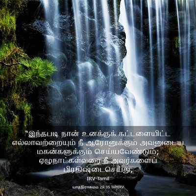 Picture 03 - யாத்திராகமம் 29:35 TAMIRV - “இந்தபடி நான் - Bible Verse Picture