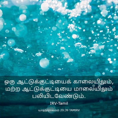 Picture 03 - யாத்திராகமம் 29:39 TAMIRV - ஒரு - Bible Verse Picture