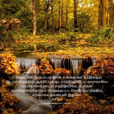 Picture 03 - யாத்திராகமம் 29:42 TAMIRV - உன்னுடனே - Bible Verse Picture
