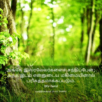 Picture 03 - யாத்திராகமம் 29:43 TAMIRV - அங்கே - Bible Verse Picture