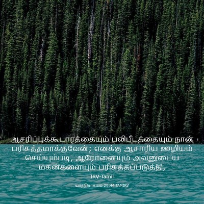 Picture 03 - யாத்திராகமம் 29:44 TAMIRV -  - Bible Verse Picture