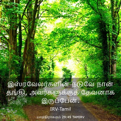Picture 03 - யாத்திராகமம் 29:45 TAMIRV - இஸ்ரவேலர்களின் - Bible Verse Picture