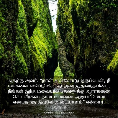 Picture 03 - யாத்திராகமம் 3:12 TAMIRV - அதற்கு அவர்: “நான் - Bible Verse Picture