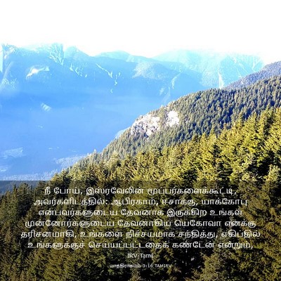 Picture 03 - யாத்திராகமம் 3:16 TAMIRV - நீ போய், - Bible Verse Picture