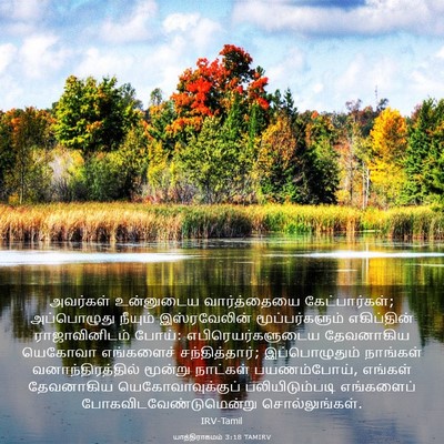 Picture 03 - யாத்திராகமம் 3:18 TAMIRV - அவர்கள் உன்னுடைய - Bible Verse Picture