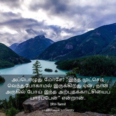 Picture 03 - யாத்திராகமம் 3:3 TAMIRV - அப்பொழுது மோசே: - Bible Verse Picture