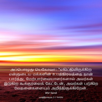 Picture 03 - யாத்திராகமம் 3:7 TAMIRV - அப்பொழுது யெகோவா: - Bible Verse Picture