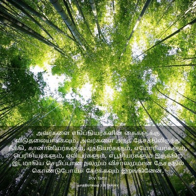 Picture 03 - யாத்திராகமம் 3:8 TAMIRV - அவர்களை - Bible Verse Picture