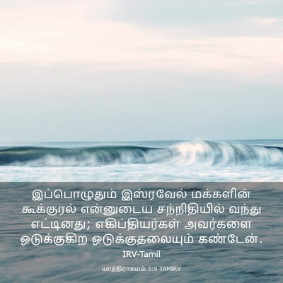 Picture 03 - யாத்திராகமம் 3:9 TAMIRV - இப்பொழுதும் - Bible Verse Picture