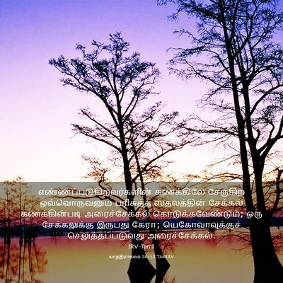 Picture 03 - யாத்திராகமம் 30:13 TAMIRV -  - Bible Verse Picture