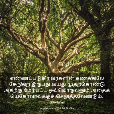 Picture 03 - யாத்திராகமம் 30:14 TAMIRV -  - Bible Verse Picture