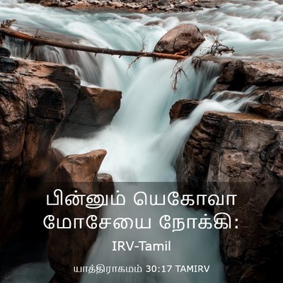 Picture 03 - யாத்திராகமம் 30:17 TAMIRV - பின்னும் யெகோவா - Bible Verse Picture
