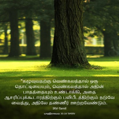 Picture 03 - யாத்திராகமம் 30:18 TAMIRV - “கழுவுவதற்கு - Bible Verse Picture