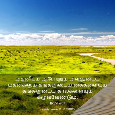 Picture 03 - யாத்திராகமம் 30:19 TAMIRV - அதனிடம் ஆரோனும் - Bible Verse Picture