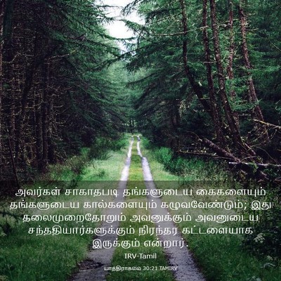 Picture 03 - யாத்திராகமம் 30:21 TAMIRV - அவர்கள் சாகாதபடி - Bible Verse Picture