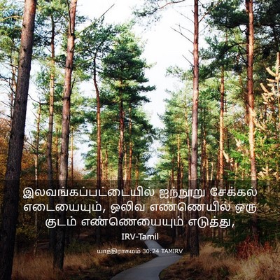 Picture 03 - யாத்திராகமம் 30:24 TAMIRV -  - Bible Verse Picture