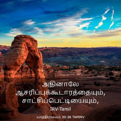 Picture 03 - யாத்திராகமம் 30:26 TAMIRV - அதினாலே - Bible Verse Picture