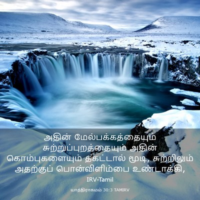 Picture 03 - யாத்திராகமம் 30:3 TAMIRV - அதின் - Bible Verse Picture