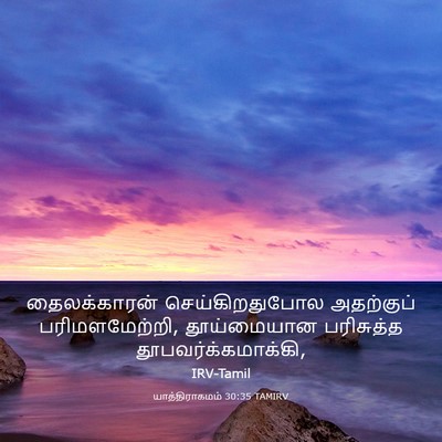Picture 03 - யாத்திராகமம் 30:35 TAMIRV - தைலக்காரன் - Bible Verse Picture