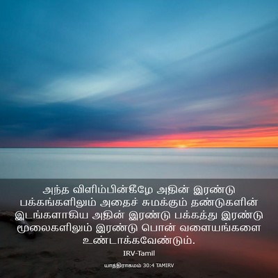 Picture 03 - யாத்திராகமம் 30:4 TAMIRV - அந்த - Bible Verse Picture