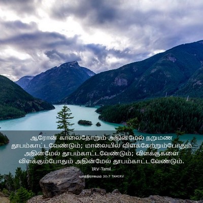 Picture 03 - யாத்திராகமம் 30:7 TAMIRV - ஆரோன் காலைதோறும் - Bible Verse Picture