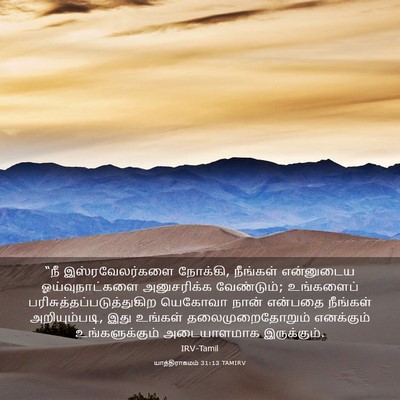 Picture 03 - யாத்திராகமம் 31:13 TAMIRV - “நீ இஸ்ரவேலர்களை - Bible Verse Picture