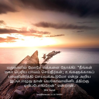 Picture 03 - யாத்திராகமம் 32:30 TAMIRV - மறுநாளில் மோசே - Bible Verse Picture