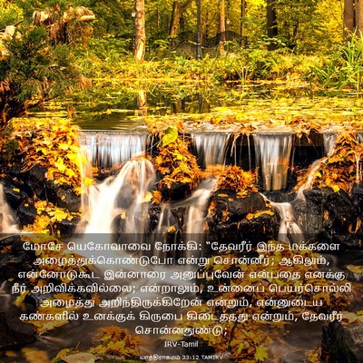 Picture 03 - யாத்திராகமம் 33:12 TAMIRV - மோசே யெகோவாவை - Bible Verse Picture