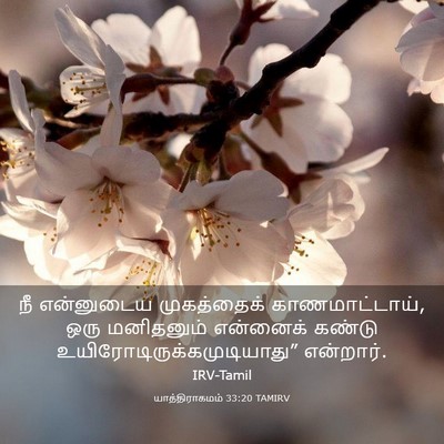 Picture 03 - யாத்திராகமம் 33:20 TAMIRV - நீ என்னுடைய - Bible Verse Picture