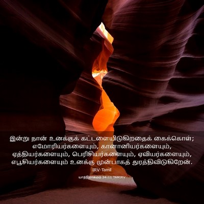 Picture 03 - யாத்திராகமம் 34:11 TAMIRV - இன்று நான் - Bible Verse Picture