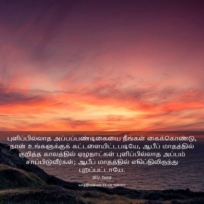 Picture 03 - யாத்திராகமம் 34:18 TAMIRV - புளிப்பில்லாத - Bible Verse Picture