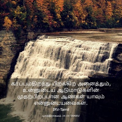 Picture 03 - யாத்திராகமம் 34:19 TAMIRV - கர்ப்பம்திறந்து - Bible Verse Picture