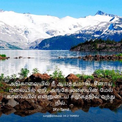 Picture 03 - யாத்திராகமம் 34:2 TAMIRV - அதிகாலையில் நீ - Bible Verse Picture
