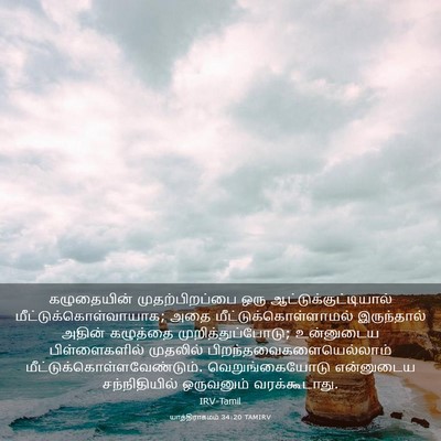 Picture 03 - யாத்திராகமம் 34:20 TAMIRV - கழுதையின் - Bible Verse Picture