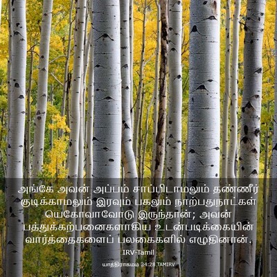 Picture 03 - யாத்திராகமம் 34:28 TAMIRV - அங்கே அவன் அப்பம் - Bible Verse Picture