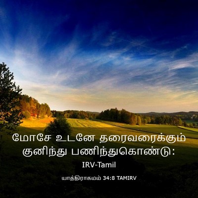 Picture 03 - யாத்திராகமம் 34:8 TAMIRV - மோசே உடனே - Bible Verse Picture
