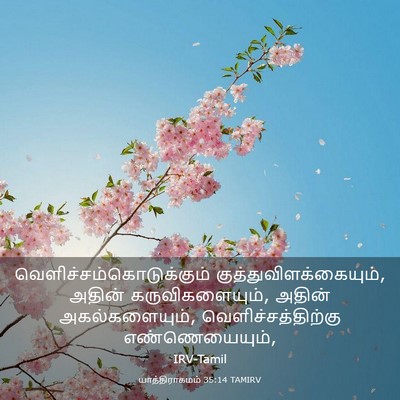 Picture 03 - யாத்திராகமம் 35:14 TAMIRV -  - Bible Verse Picture