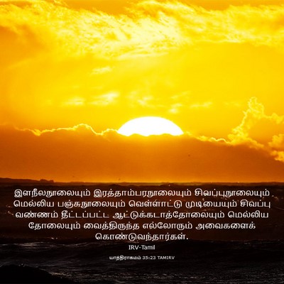 Picture 03 - யாத்திராகமம் 35:23 TAMIRV - இளநீலநூலையும் - Bible Verse Picture